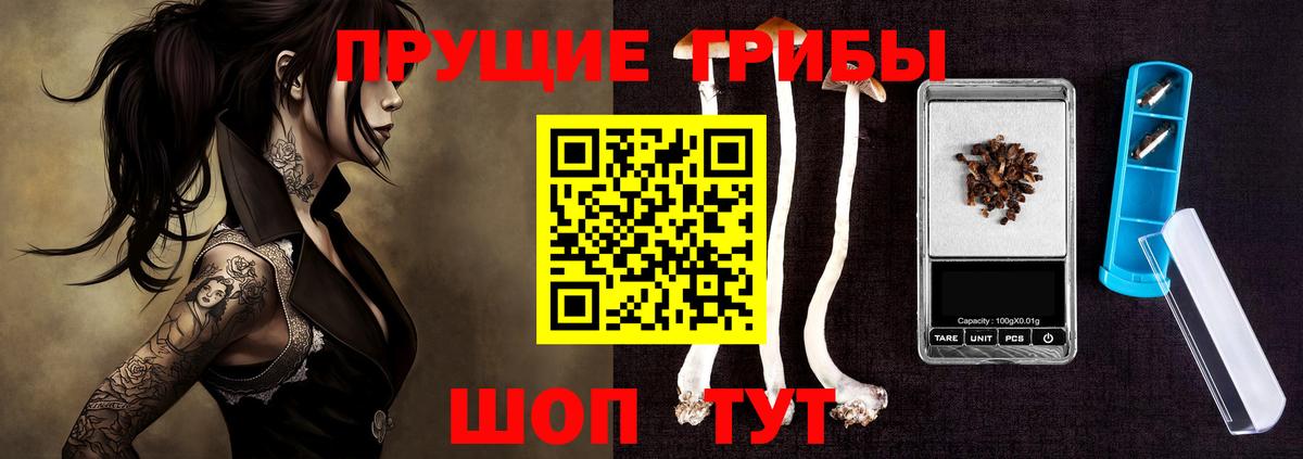 Каспийск  Галлюциногенные грибы мухоморы  дарнет шоп  Вход с VPN  Галлюциногенные грибы прущие грибы 